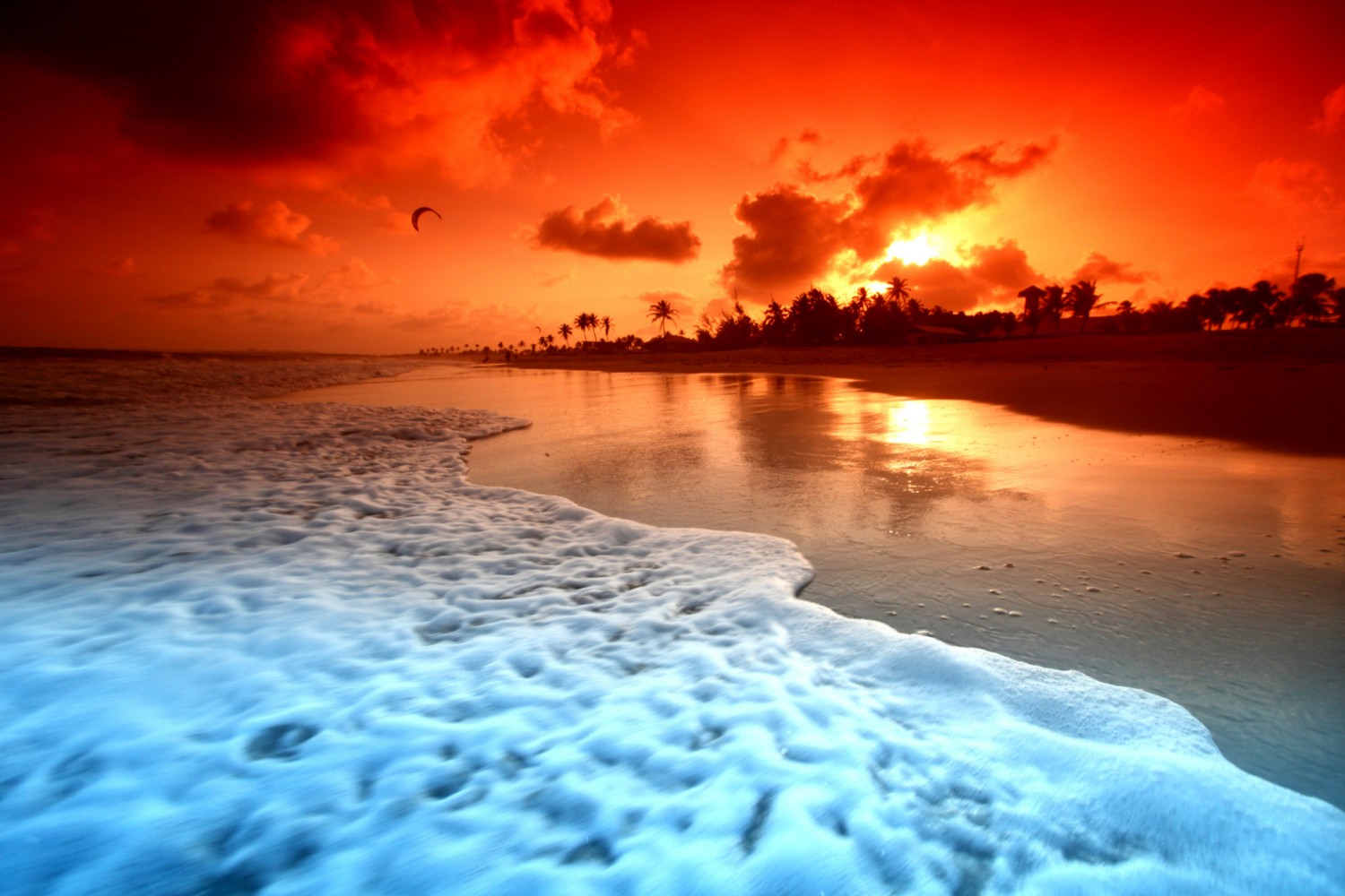 Image from URL